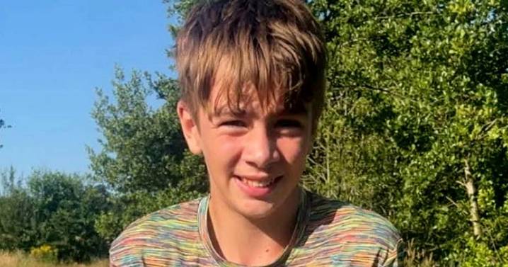 Boy, 13, arrested after 12-year-old 'flung to his death from playground roundabout'