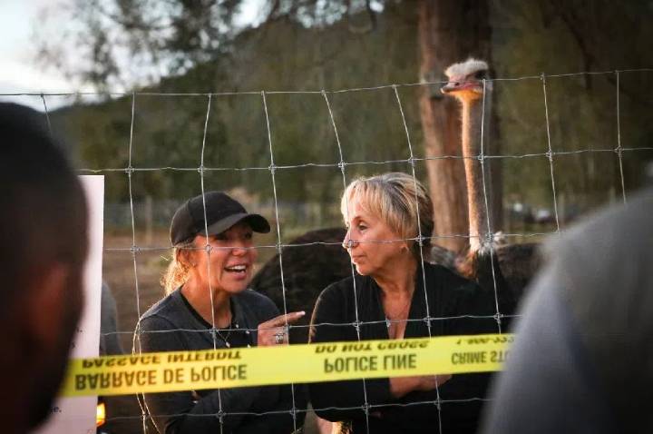 CFIA says B.C. ostrich farmers must leave by Tuesday or face arrest