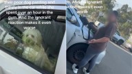 Puppy left in hot car on sweltering 30C day in Campbelltown, Western Sydney