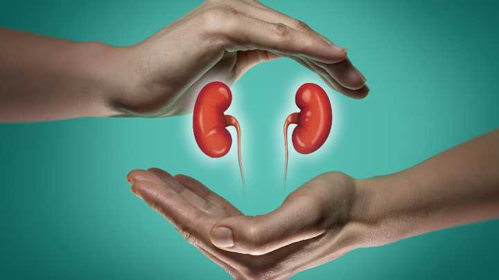 Kidney Health: 5 natural supplements to help lower creatinine levels in the body, and support kidney health