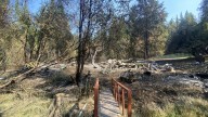 ‘This is where her heart is… She wants to be back’: Woman hopes to rebuild her home after Crown Creek Fire