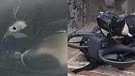 Reportan ataques armados en zonas de Michoacán