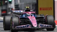 Alpine aclaró la situación de Colapinto en el inicio del GP de Italia