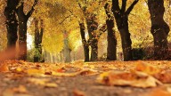 Equinoccio de otoño: ¿Cuándo se termina el verano en Hidalgo?