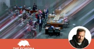 Echidna | Albania appoints AI bot to fight corruption