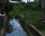 Solicitan limpieza del caño que pasa por la calle 6 del sector Morichal