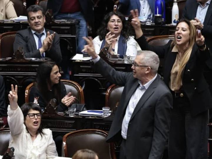 Otro golpe al Gobierno. La oposición apura el proyecto que limita a Milei la posibilidad de dictar DNU