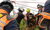 Destacada labor del IMPA y Protección Civil