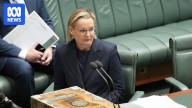Ley writes to Republicans vowing to revoke Palestine recognition ahead of Albanese's UN address