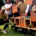 Liberación de especies en el Waraira Repano: un espectáculo natural que reafirma el compromiso con la biodiversidad