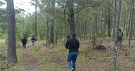 Fiscalía de Chihuahua localiza restos óseos en operativo de búsqueda en Balleza