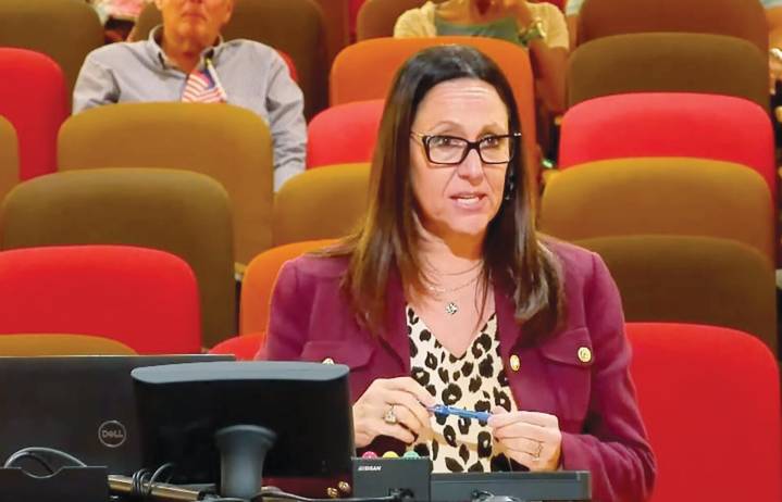 Council updated on homelessness plan