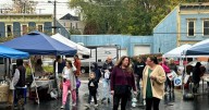 Harvest in the Harbor later this month