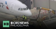 American Airlines flight heading to San Francisco Airport strikes multiple birds near PHL