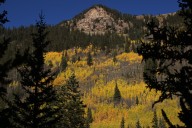 Colorado fall colors: Parking enforcement planned on Guanella Pass