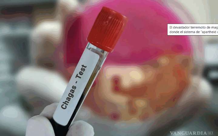 Estados Unidos confirma casos autóctonos de Chagas y la declara enfermedad endémica