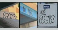 BSO asks public's help to track down vandals targeting Deerfield Beach