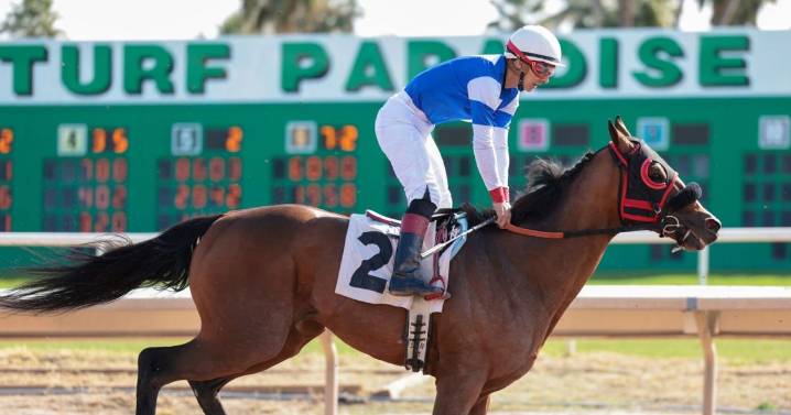 Mayes says funding for Arizona horse racing tracks was unconstitutional