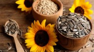 Semilla de girasol: el snack ideal que cuida el corazón y combate la inflamación