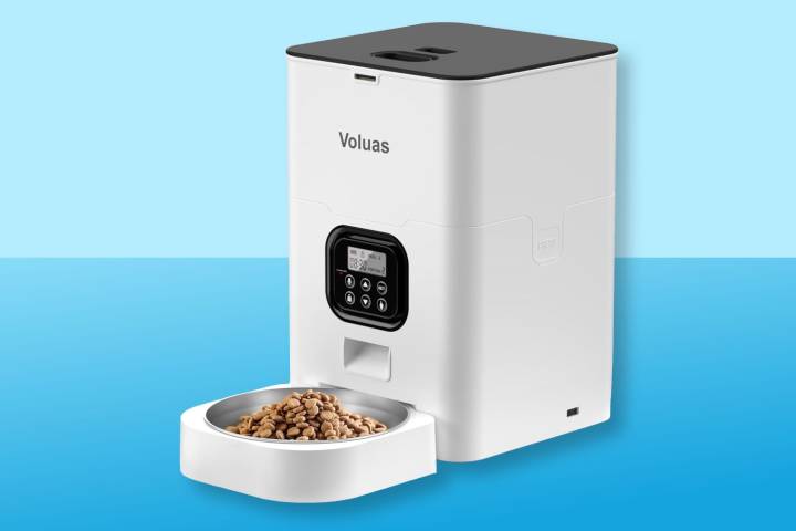 This Best-Selling Automatic Cat Feeder Is on Sale for Prime Members