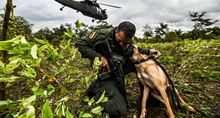 Colombia | Qué significa que Estados Unidos retire a Colombia la certificación en la lucha contra las drogas y el narcotráfico | Gustavo Petro 