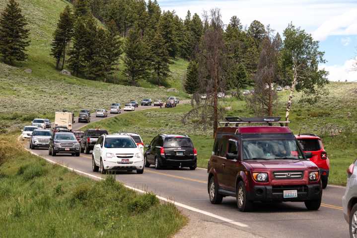 Yellowstone 2025 visitation continues near