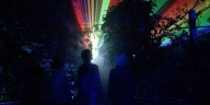 Zoo Knoxville to host new Smoky Night Lights event this winter