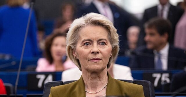 EU Wants Sanctions, Trade Suspensions for Israel Says Von der Leyen