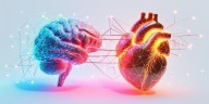 Un consenso científico refuerza el papel del estrés psíquico en el riesgo cardiovascular