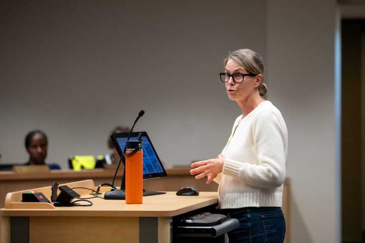 Ann Arbor City Council hears new downtown development plan, approves Fuller Road park acquisition