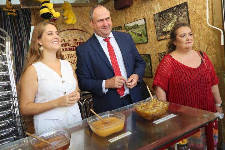 Castilla-La Mancha trabaja para declarar la emergencia por la enfermedad de la lengua azul