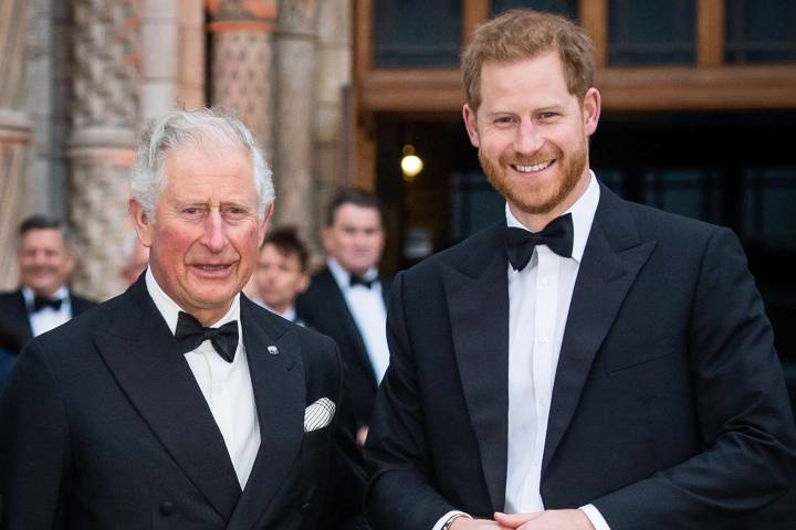 Prince Harry Won't Have 'Half-In' Royal Role Despite Reunion with King Charles