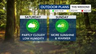 Delightful weekend on the way