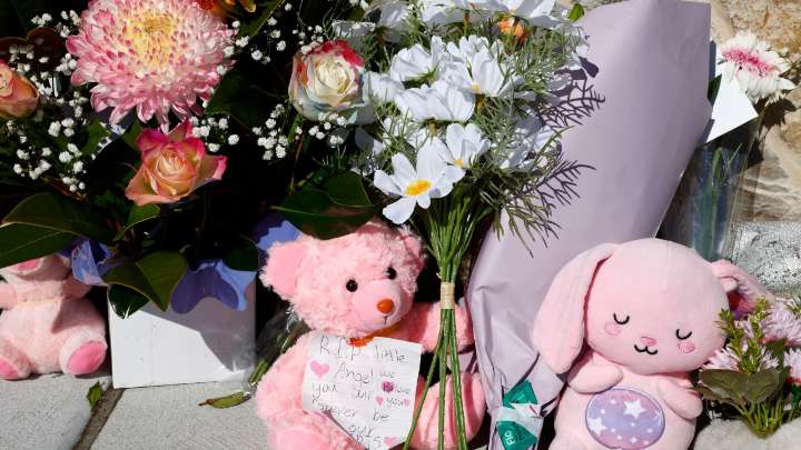 Mother believed to be behind wheel of car that killed baby daughter in freak Sydney car park accident