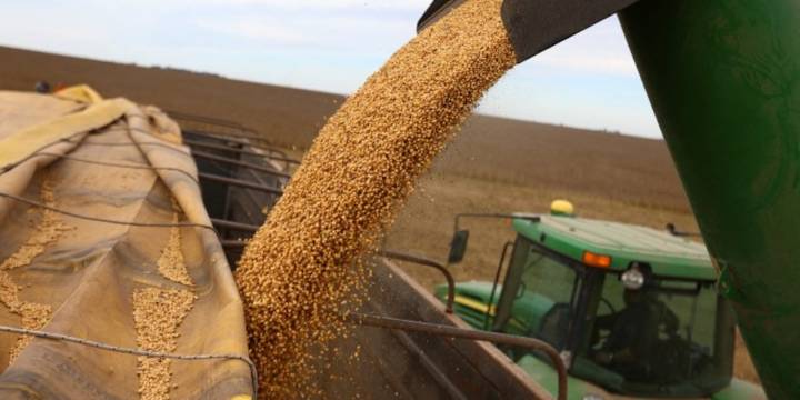 Qué pasará con los precios de los alimentos básicos tras la quita temporal de las retenciones al agro y la baja del dólar