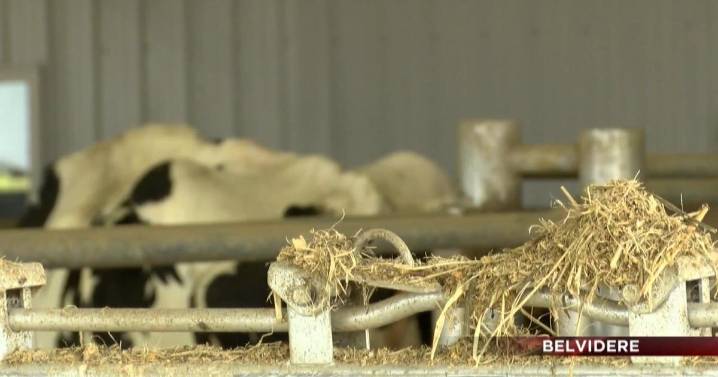 Belvidere's Die Hard Dairy fire: Local support lifts Travis family