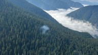All wildfires on Vancouver Island now being held or under control
