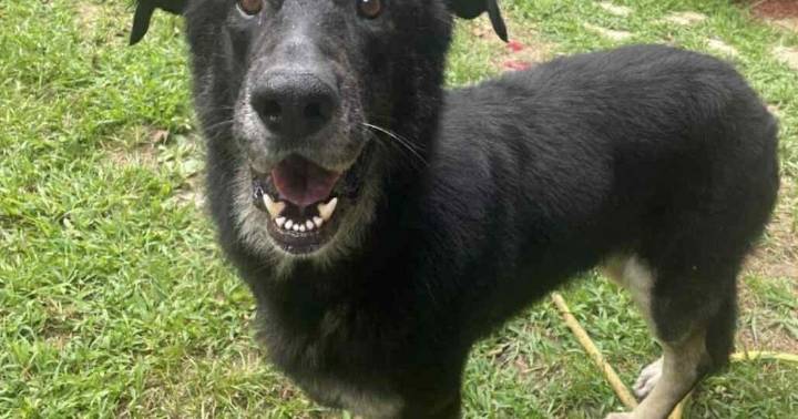 PETS OF THE WEEK: Potato and Sarah