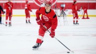 Recent top picks highlight Red Wings' roster in Dallas prospect games