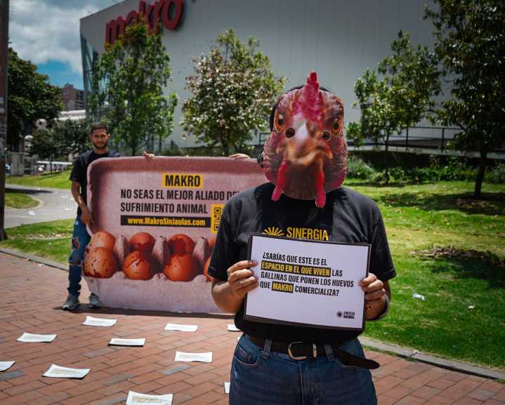 En protesta pacífica piden dejar de vender huevos de gallinas en jaulas de batería