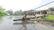 Overnight Rains, Gusty Winds Cause Widespread Damage In Gujarat's Navsari