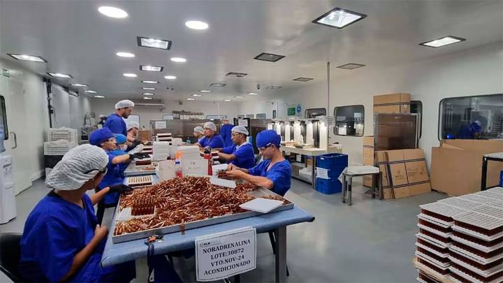 Contaminación y negligencia en la fabricación de fentanilo: un informe de Malbrán…