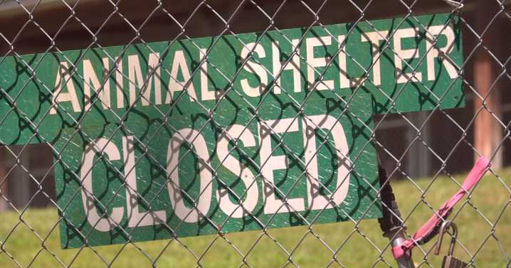 Local animal rescue says more animal shelter reform is needed