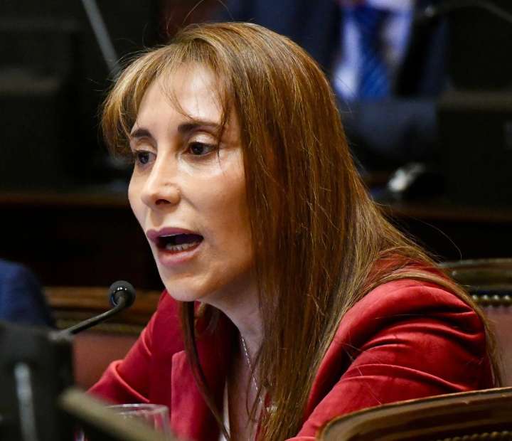 Discapacidad: La senadora López rechazó el veto de Milei, con duras críticas a la corrupción libertaria