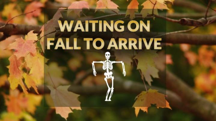 Autumnal Equinox happening Monday