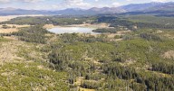 Bear attack on hiker closes trail in Yellowstone National Park