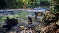 Ejército y Policía capturaron a cinco personas e inhabilitaron material utilizado para la explotación ilícita de yacimientos mineros