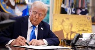 More Americans in new poll think companies benefit from legal immigration