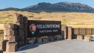 Bear attacks hiker in Yellowstone National Park