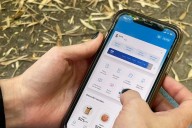 En medio de la tensión cambiaria, Mercado Pago y Cocos Capital interrumpieron la venta de dólar oficial